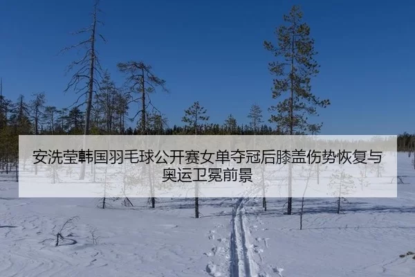 安洗莹韩国羽毛球公开赛女单夺冠后膝盖伤势恢复与奥运卫冕前景